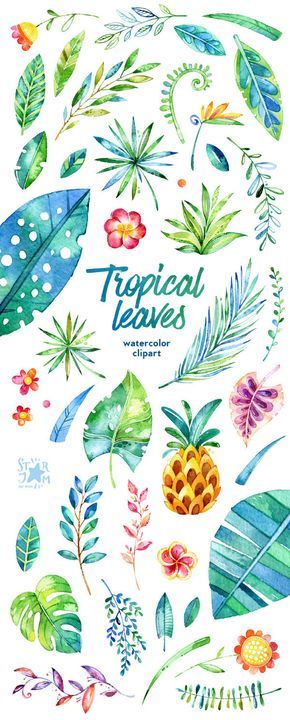 Foglie tropicali. 44 elementi floreali clipart.