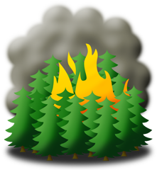 Forest Fire Clipart Free.