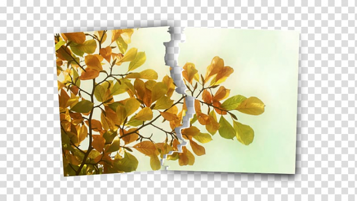Desktop Autumn 1080p High.