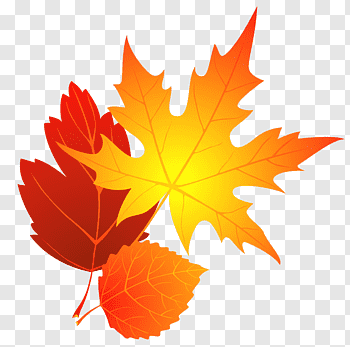 Fall Leaves cutout PNG & clipart images.