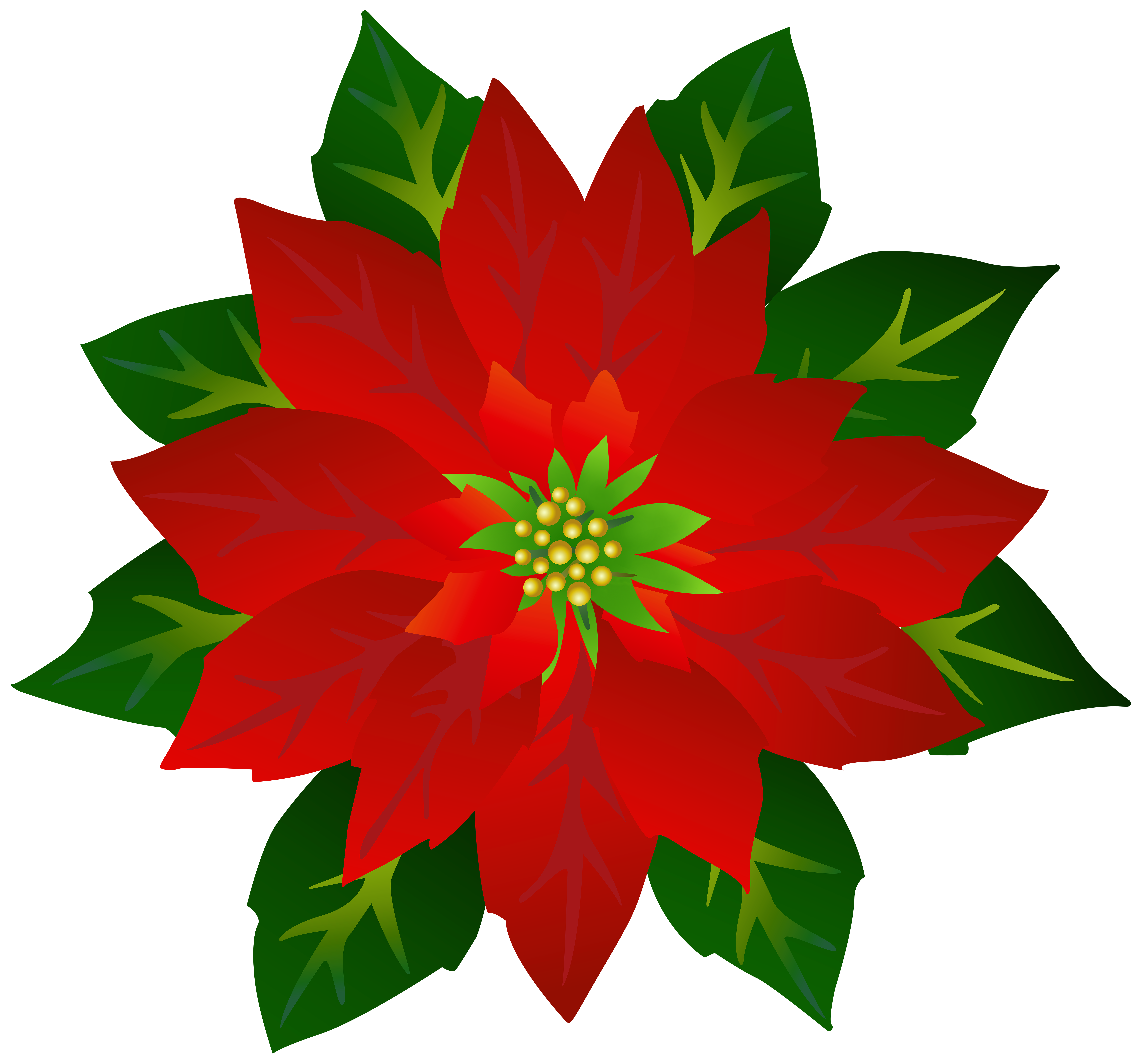 Poinsettia PNG Clipart.