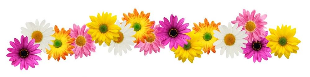 Spring Flowers Clipart Free Download Clip Art.