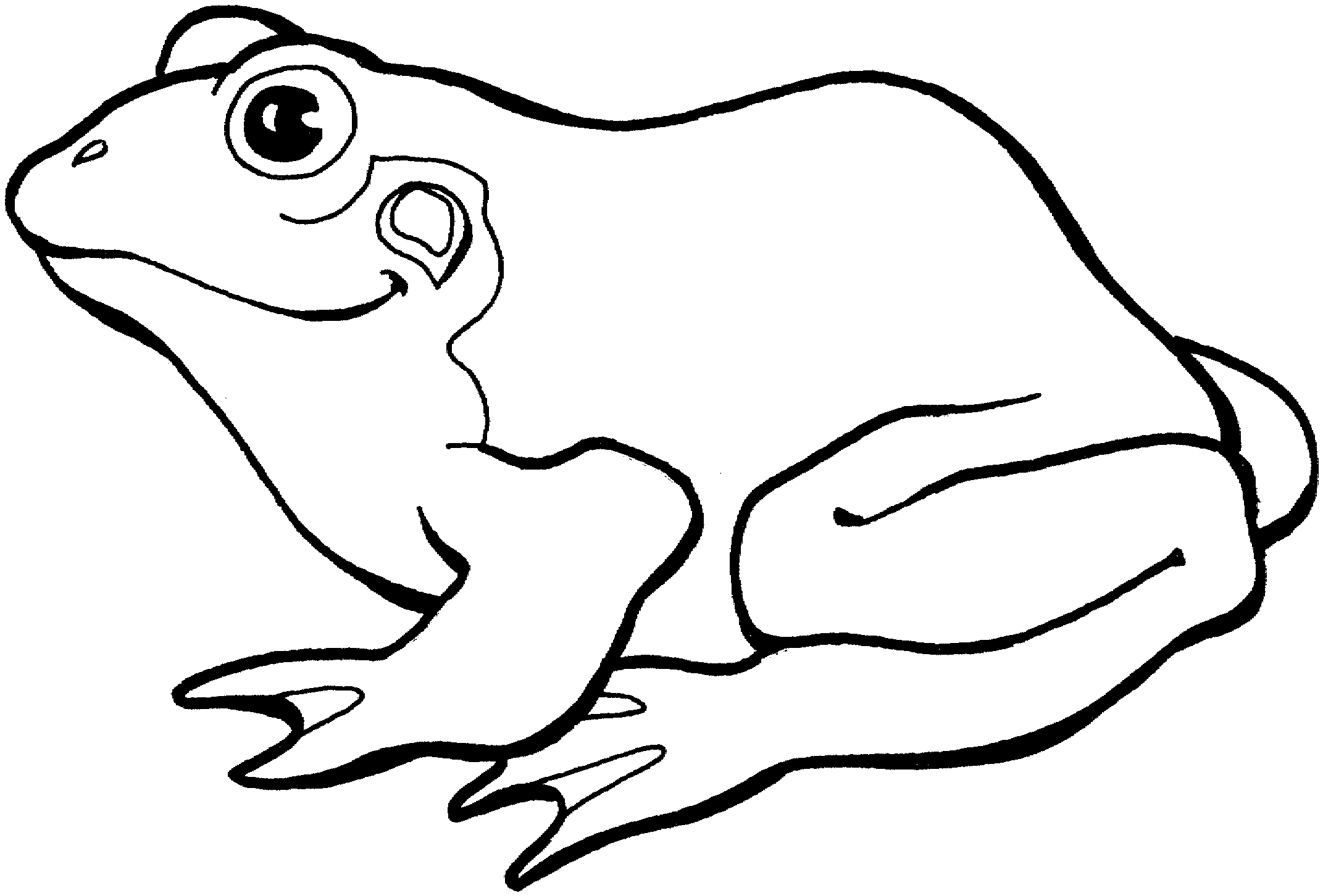 Free Black And White Clip Art Frog, Download Free Clip Art.