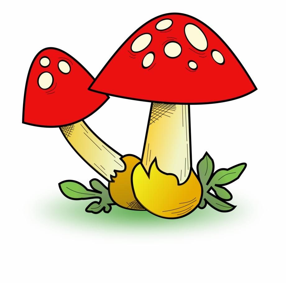 clipart fungi 20 free Cliparts | Download images on Clipground 2021