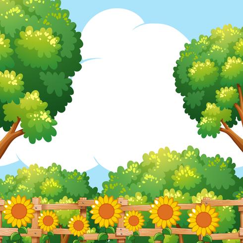 Background scene with sunflowers in garden.