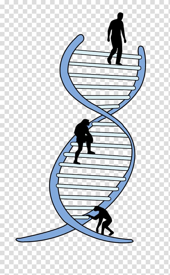 Genetics La Ingenieria Genetica Genetic engineering Biology.