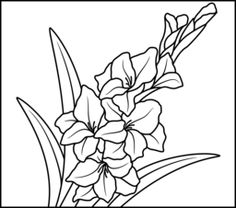 Free Gladiolus Cliparts, Download Free Clip Art, Free Clip.