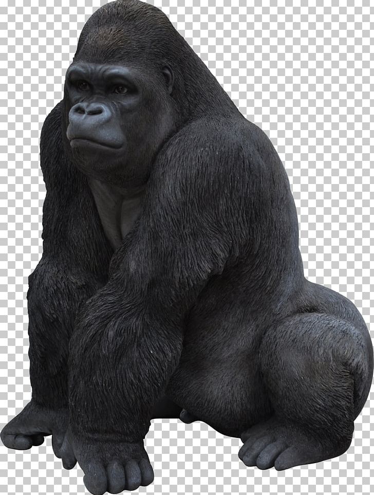 Gorilla PNG, Clipart, Gorilla Free PNG Download.