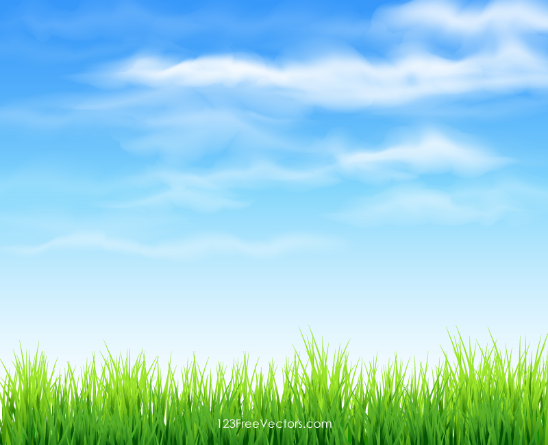 Green Grass Background Clipart.