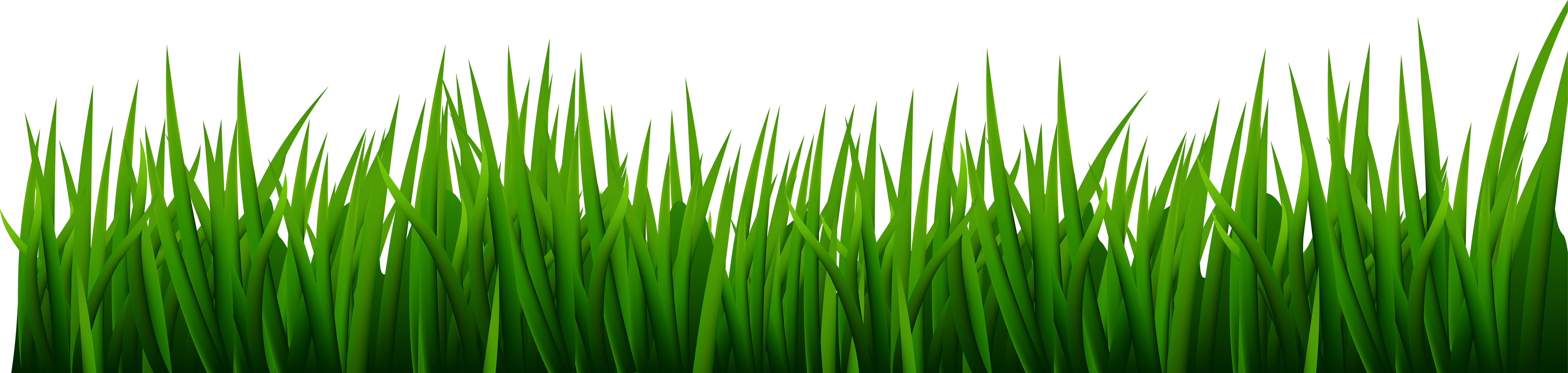 Clipart Grass Png 20 Free Cliparts Download Images On Clipground 2023
