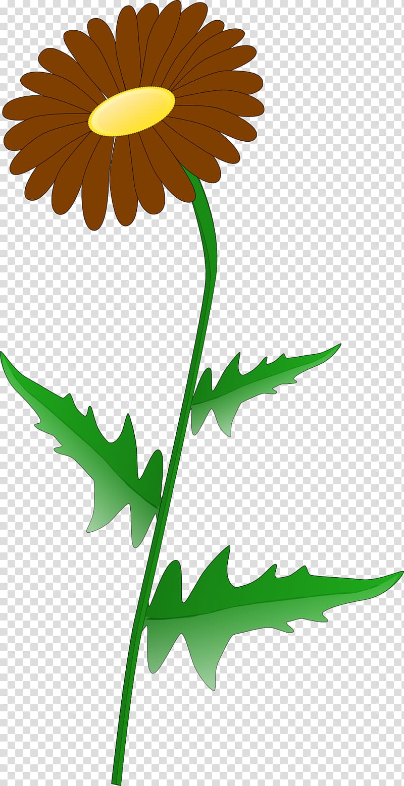 Greenery border transparent background PNG clipart.