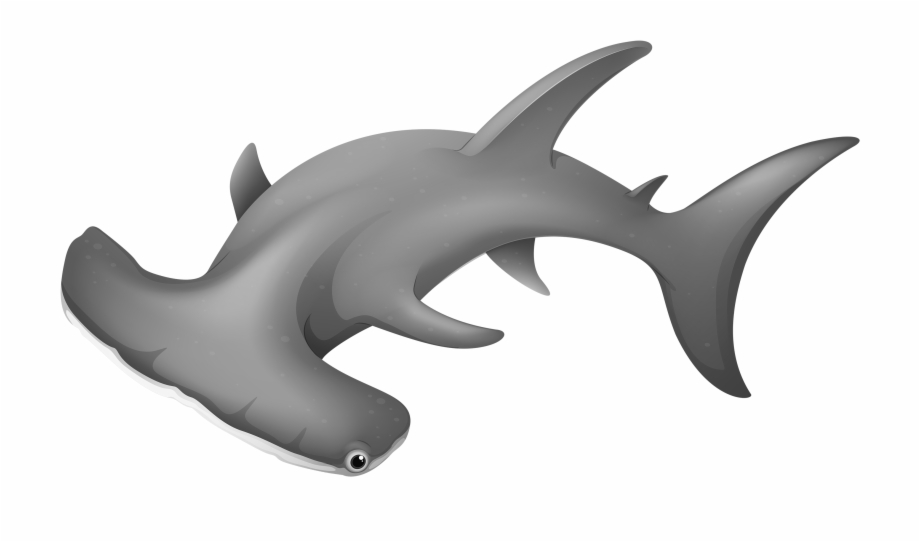 clipart hammerhead shark 20 free Cliparts | Download images on ...
