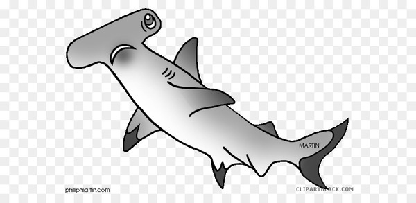 Great white shark Clip art Hammerhead shark Shortfin mako shark.