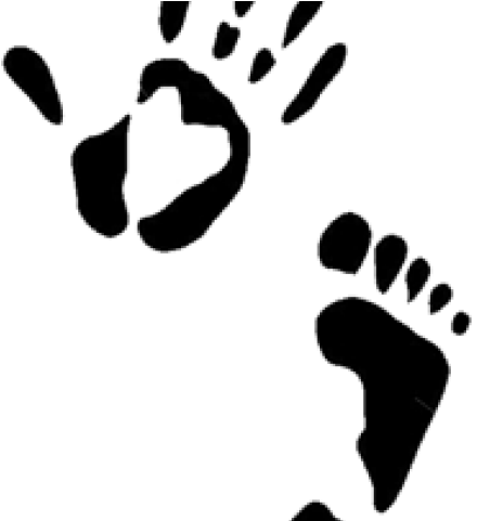 Fingers Clipart Hand Foot.