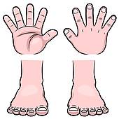 Hands and feet clipart 3 » Clipart Station.