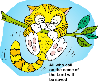 Hang In There Cat Clipart.