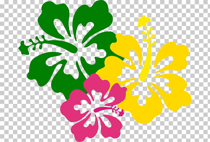 Cuisine of Hawaii Drawing Luau , Hibiscus BackGround PNG.