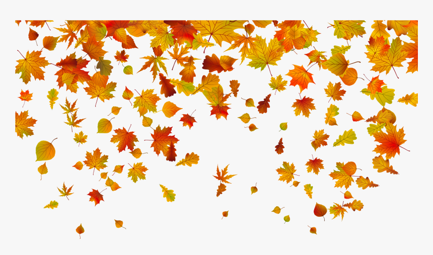 Leaf Color Leaves Autumn Fall Transparent Clipart, HD Png.
