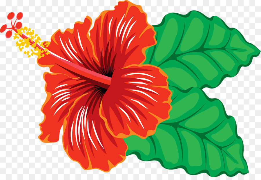 Hawaiian Flower clipart.