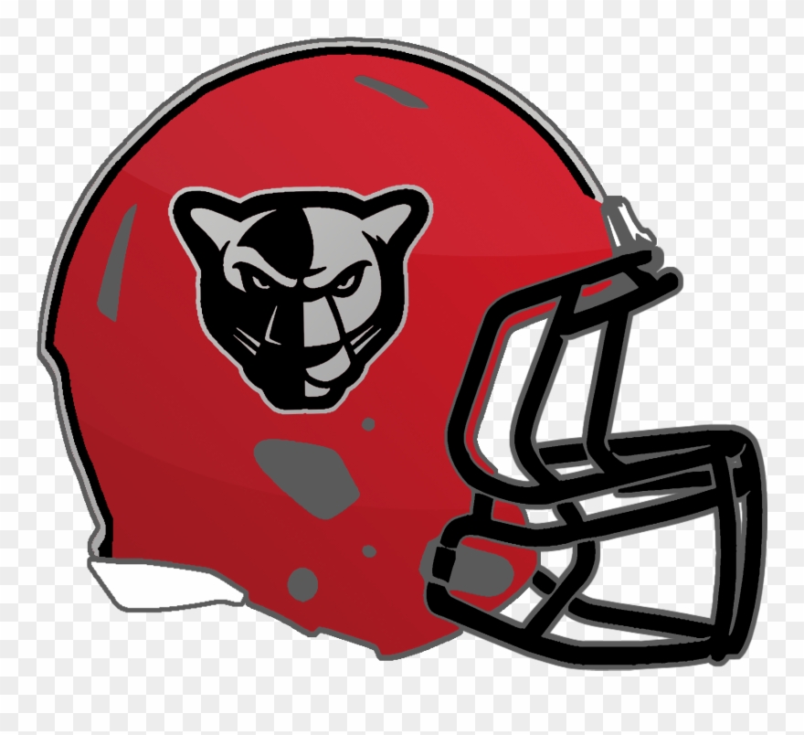 Mississippi High School Helmets A Petal Panthers.