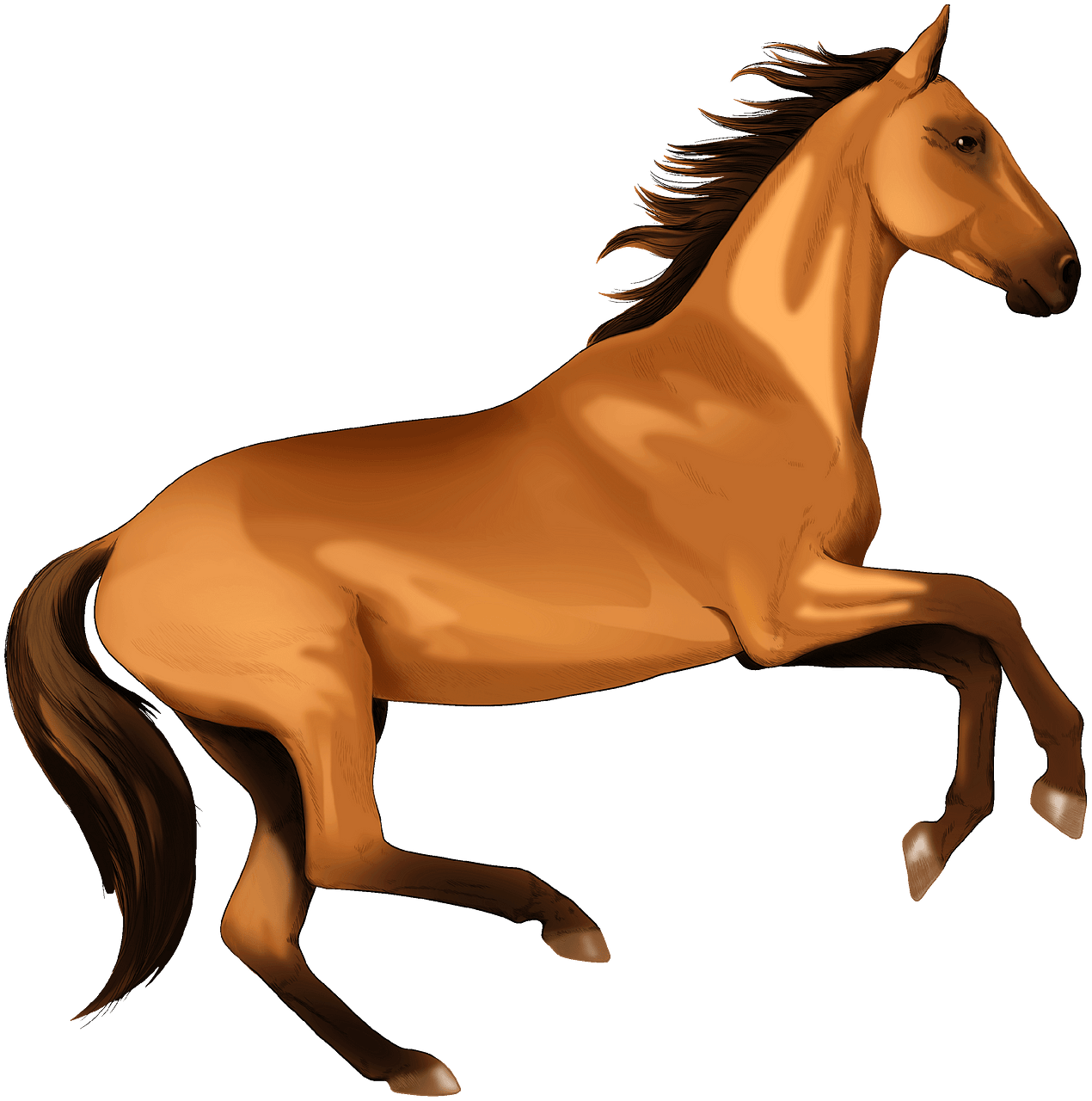 horse illustration free download