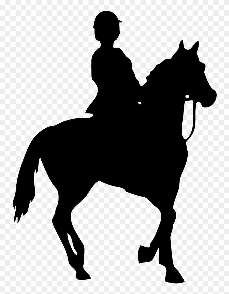 Horse Riding Clipart Saddle.