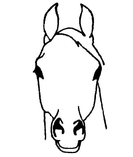 Arabian Horse Head Clipart.