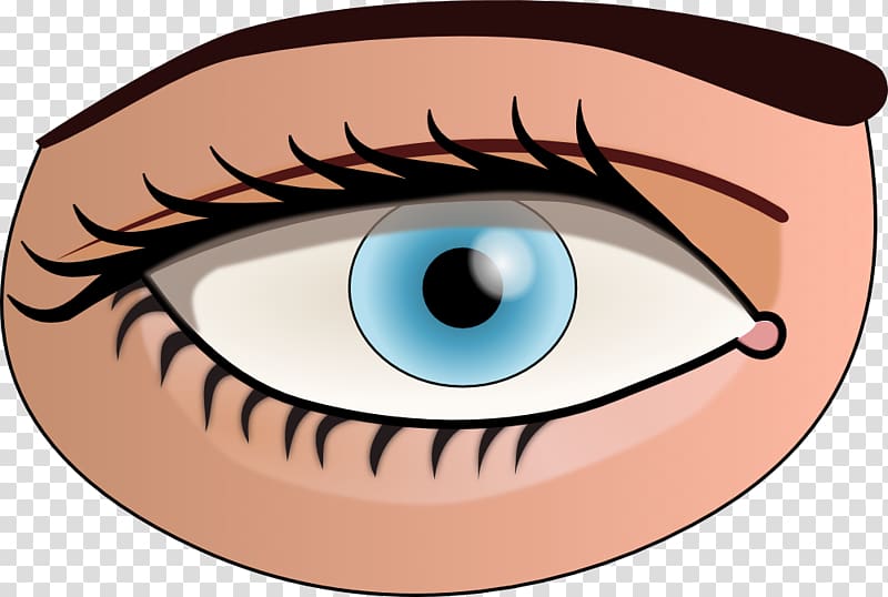 Human eye Color , Eye transparent background PNG clipart.