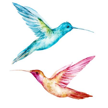 clipart hummingbird 20 free Cliparts | Download images on Clipground 2022