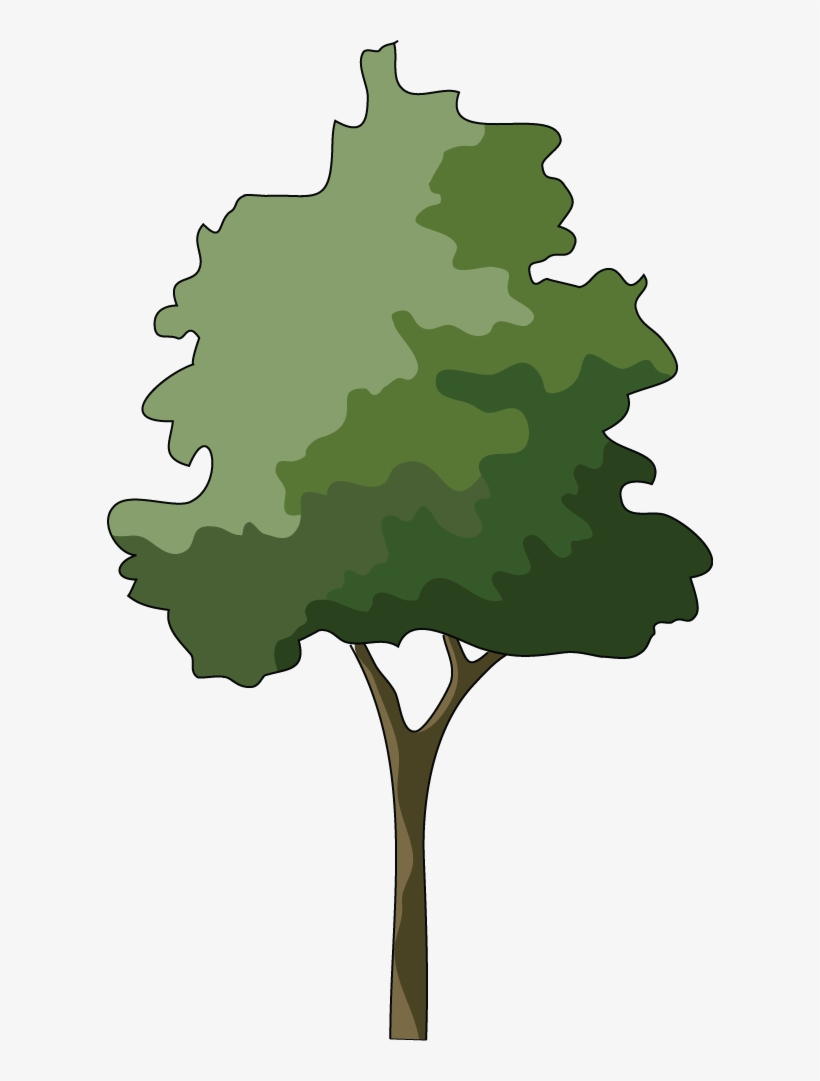 Branch Japanese Maple Tree Clip Art.