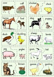 clipart images of animals and their young ones 20 free Cliparts ...