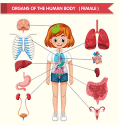 Body Parts Clipart Vector Images (over 210).