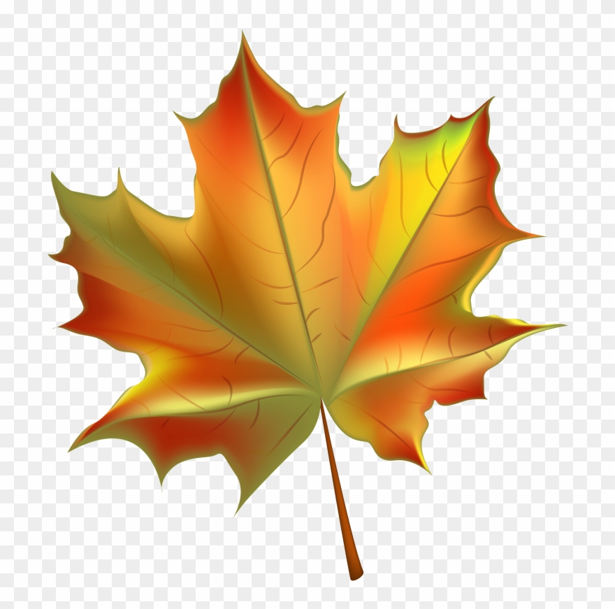 Pin Autumn Leaves Background Clipart.