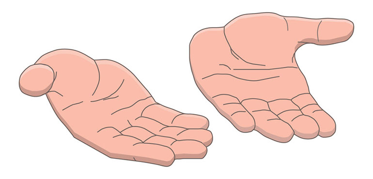 Free Offering Hands Cliparts, Download Free Clip Art, Free.