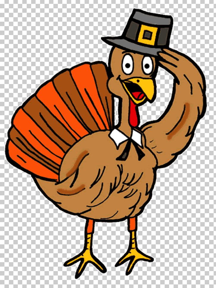 Turkey Meat Thanksgiving Day PNG, Clipart, Artwork, Beak, Bird.