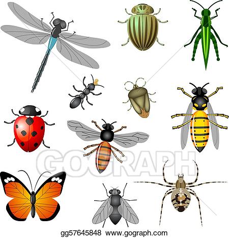 clipart insects and bugs 10 free Cliparts | Download images on ...