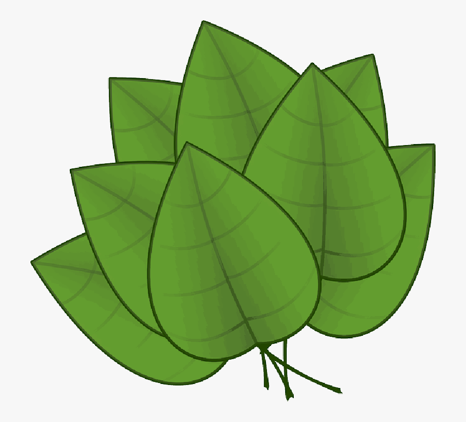 Free Jungle Leaves Clipart.