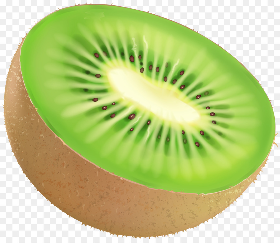 Kiwi Bird Clipart.