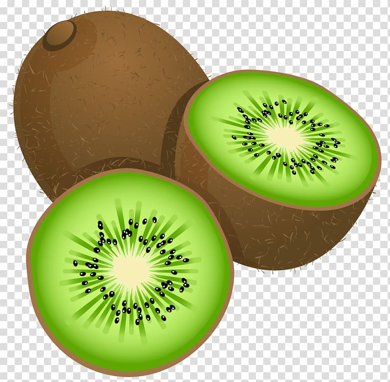Kiwifruit , Large Painted Kiwi Frut , kiwi fruit illustration.