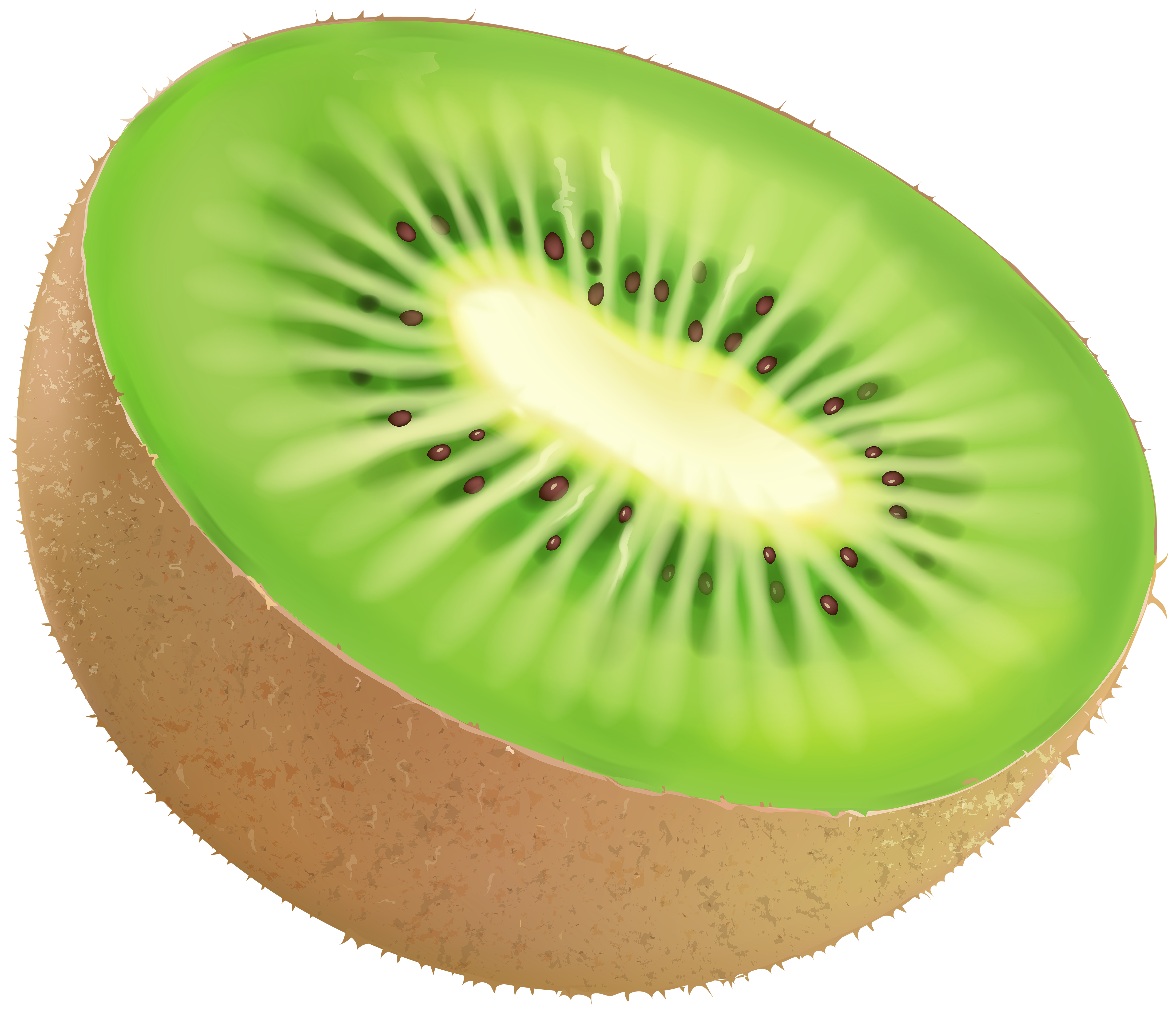 Kiwi Fruit PNG Clip Art Image.