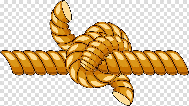 Brown tied knot illustration, Rope Knot Cartoon, rope,rope.