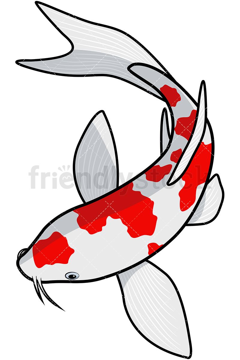 clipart koi 10 free Cliparts | Download images on Clipground 2021