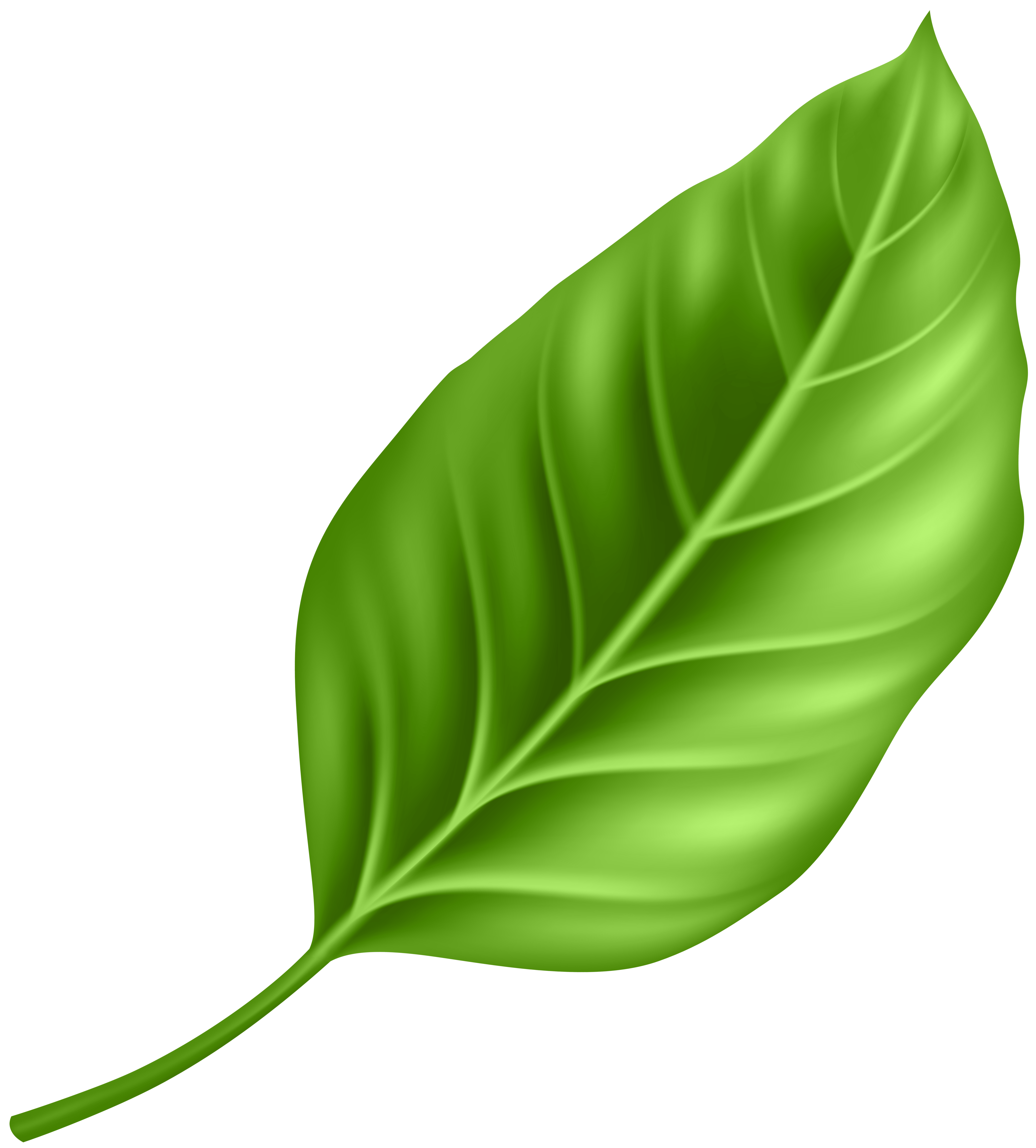 Leaf PNG Clipart.