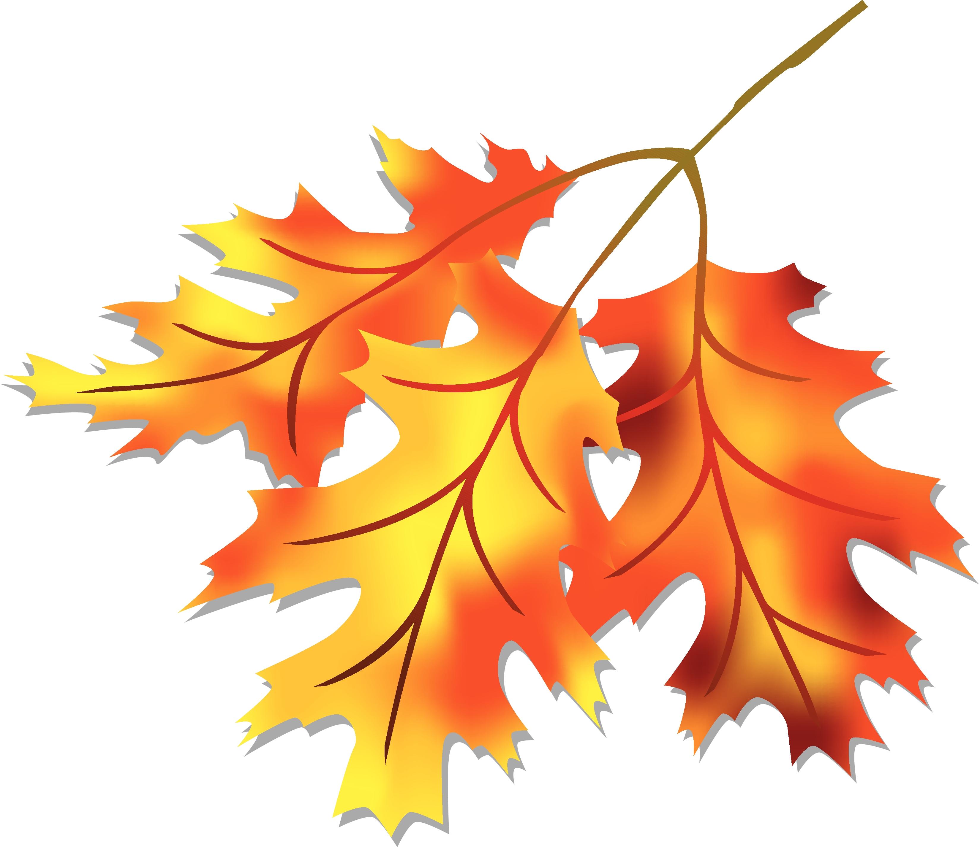 Fall Leaves Clip Art Group (+), HD Clipart.