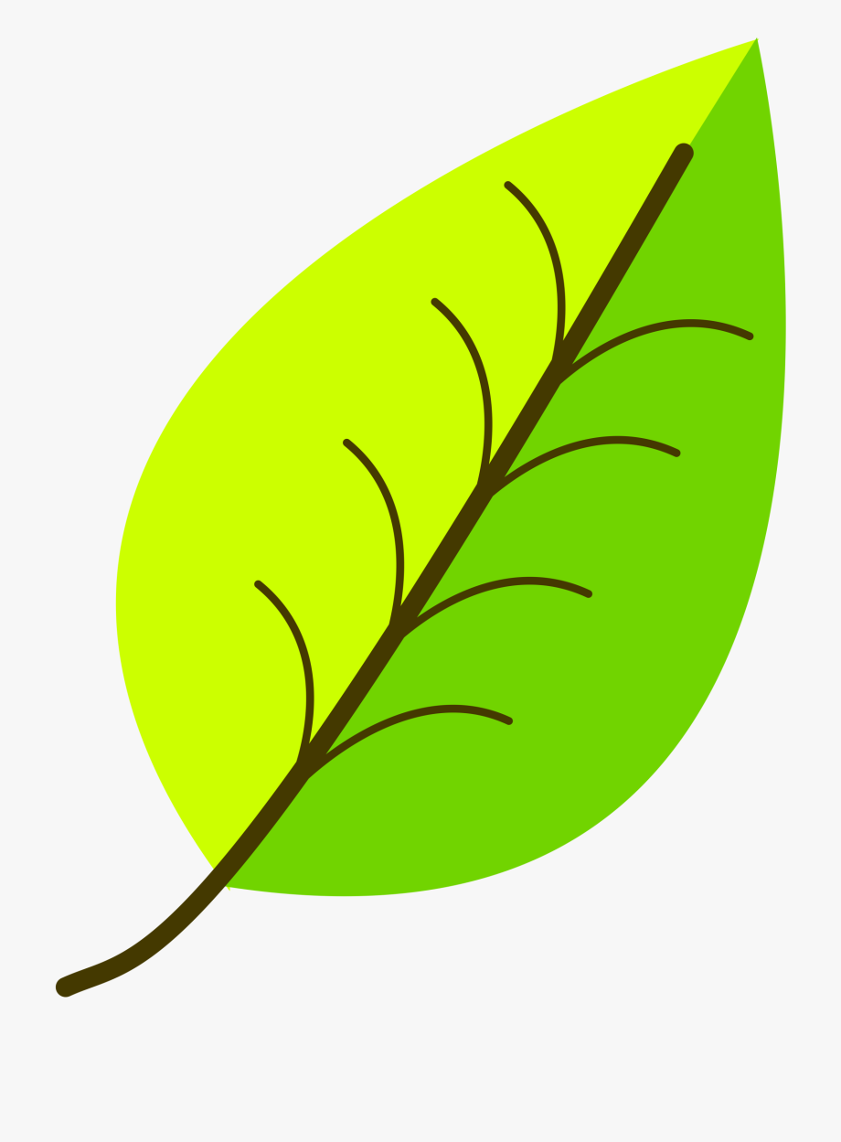 Leaf Clipart Png.