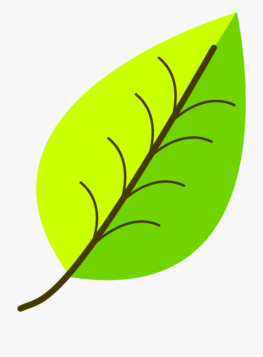 leaf clipart