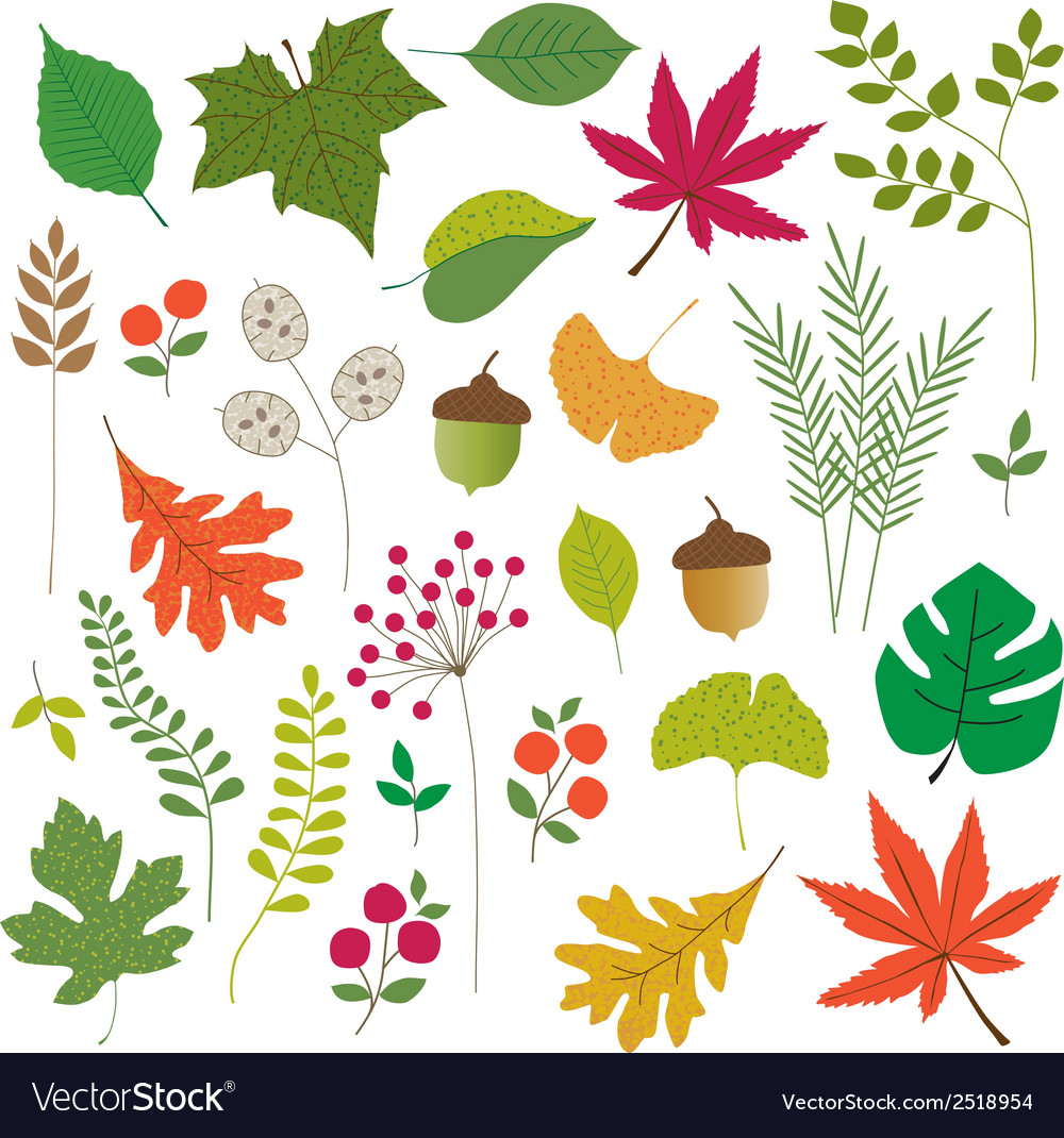 floral leaves clipart 10 free Cliparts | Download images on Clipground 2021