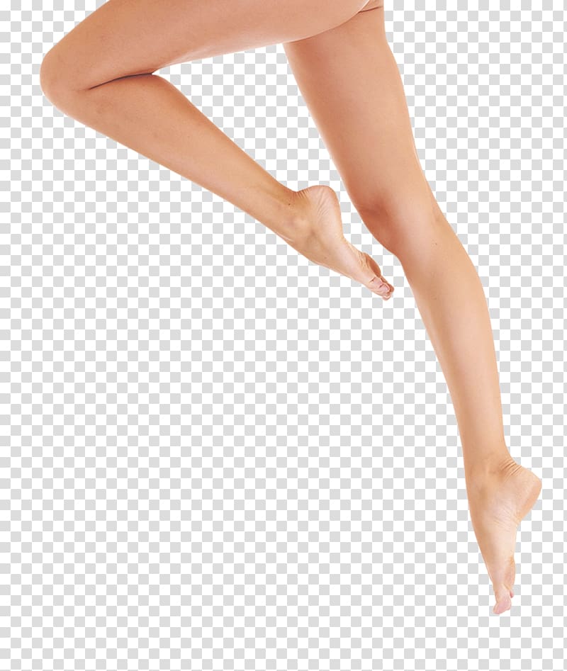 Leg Thigh Foot, Legs transparent background PNG clipart.