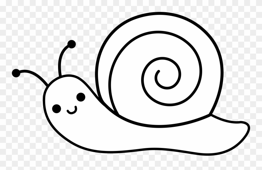 Cute Snail Lineart.