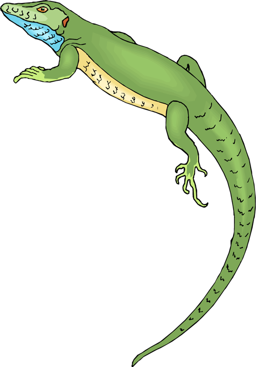 Lizard clipart cliparts and others art inspiration 3.